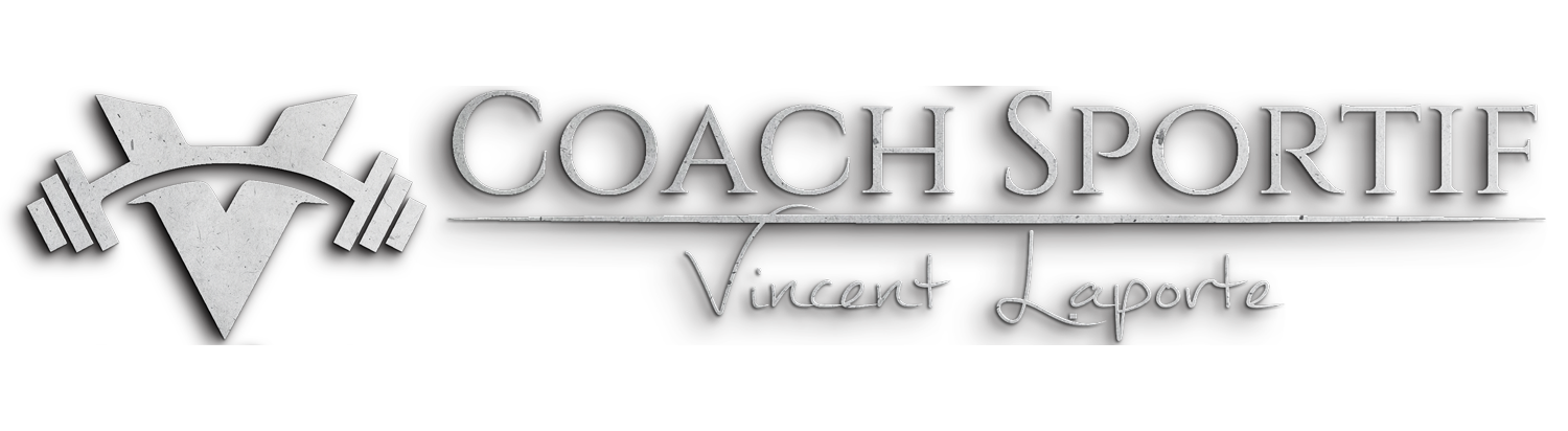 Vincent Laporte